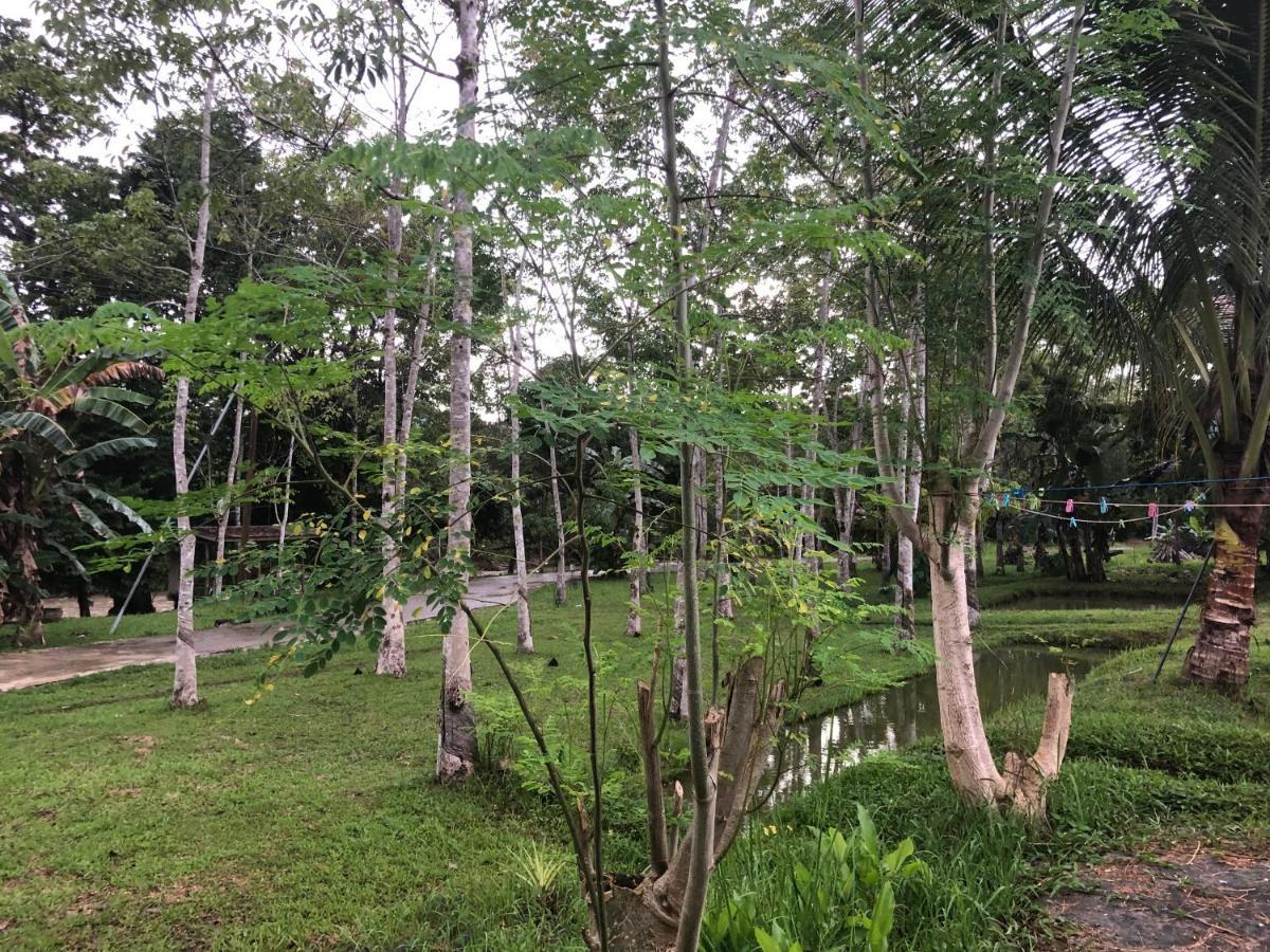Grace Guesthouse Kota Belud المظهر الخارجي الصورة